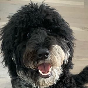 Meet your Posher, Emme